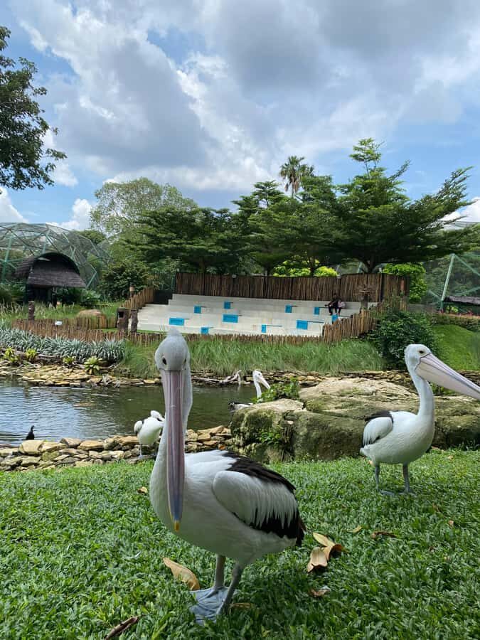 Jakarta: Setu Babakan and Taman Mini Indonesia Indah Tour - Final Thoughts