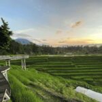 Jatiluwih Nature and Wellness Day Tour - Practical Information and Tips