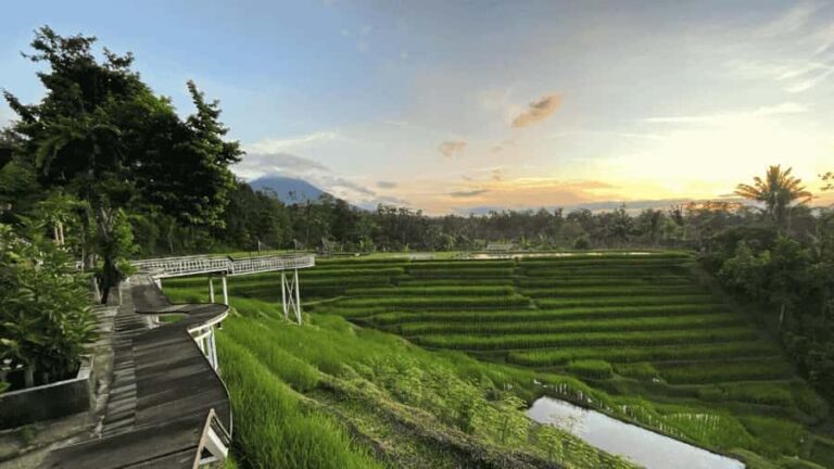 Jatiluwih Nature and Wellness Day Tour - Practical Information and Tips