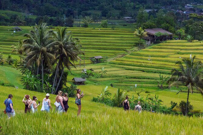 Jatiluwih Spiritual Journey of Melukat with Rice Terrace View - Practical Details and Value
