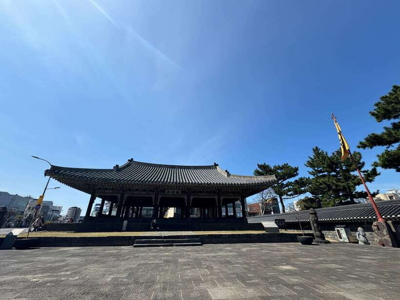 Jeju city walking tour with a certified guide - Why This Tour Is a Great Choice