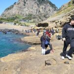 Jeju Island Private Charter Regular Taxi Tour and Free Schedule - Who Would Love This Tour?