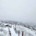 Jeju island Southern UNESCO Day Tour With Hallasan MT - Transportation, Schedule, and Group Size