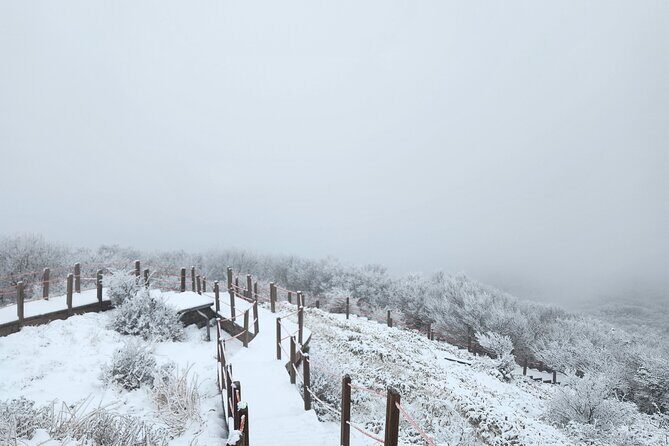 Jeju island Southern UNESCO Day Tour With Hallasan MT - Transportation, Schedule, and Group Size