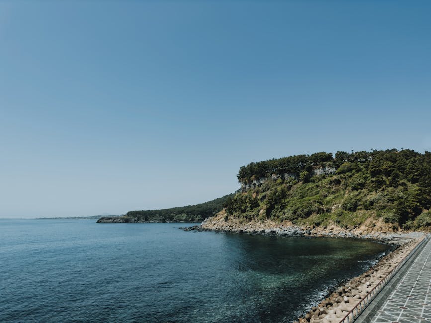 Coastal road along Jeju Island cliffs under clear blue sky
