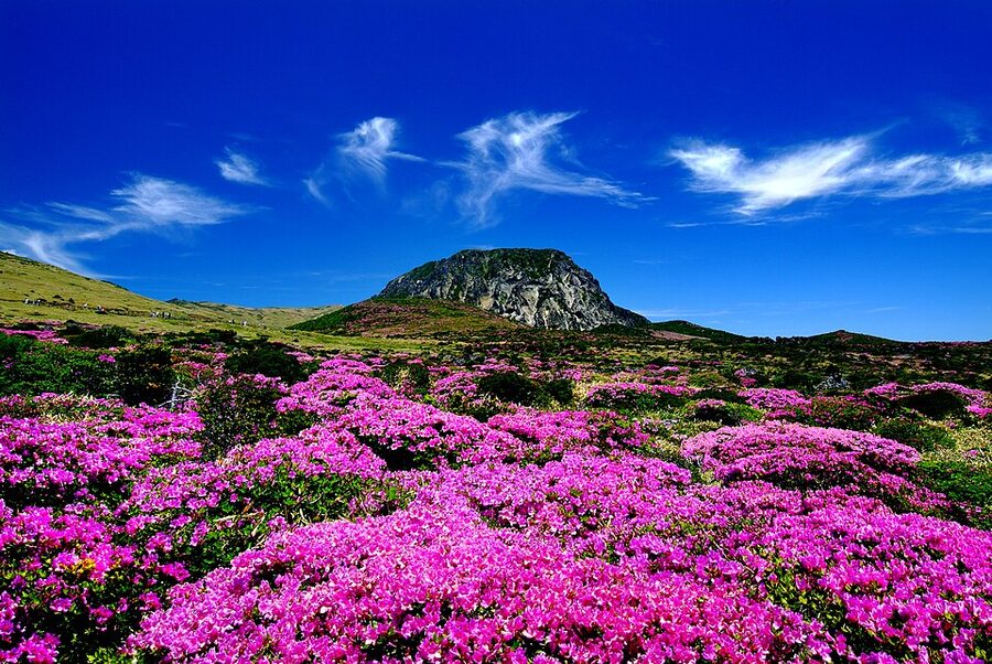 Hallasan shield volcano Jeju Island