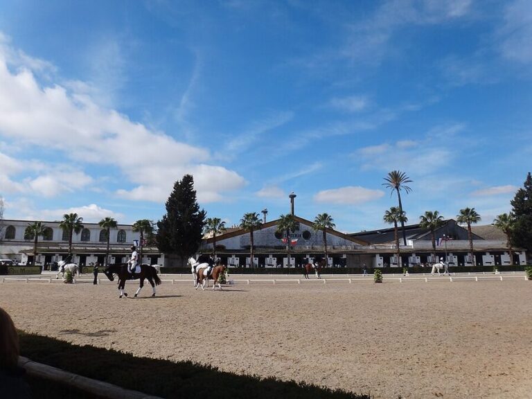 How to Book Andalusian Horse Show Tickets in Jerez