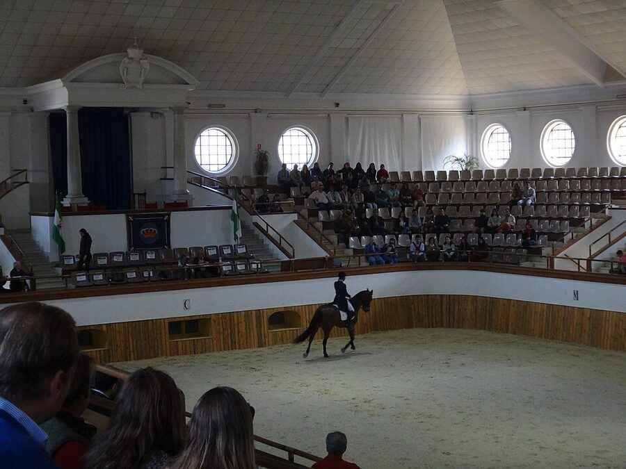 Tack room with antique harnesses at the Real Escuela in Jerez
