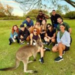 Jervis Bay Highlights Tour  Small Group Experience Scenic Coast - Authentic Insights from Reviewers