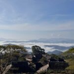 Jingmai Mountain (UNESCO) | Old Tea Forests and Dai Villages - Why Choose This Tour?