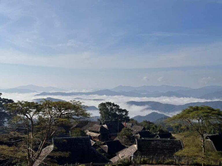 Jingmai Mountain (UNESCO) | Old Tea Forests and Dai Villages - Why Choose This Tour?