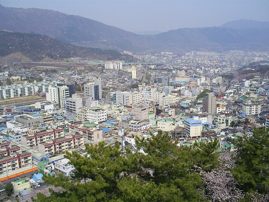 Jinhae city streets in bloom
