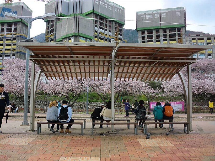 Old wooden Gyeonghwa Station building with cherry blossoms