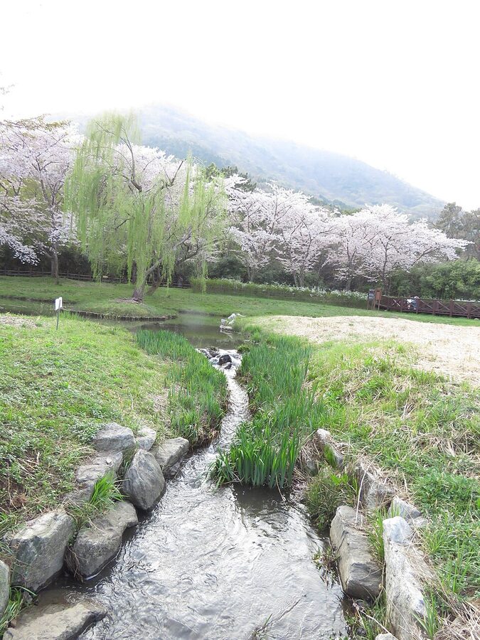 View over Jinhae from the Jehwangsan Park observatory