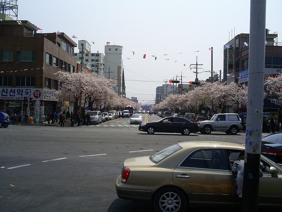 Jinhae Gunhangje festival stalls and crowd