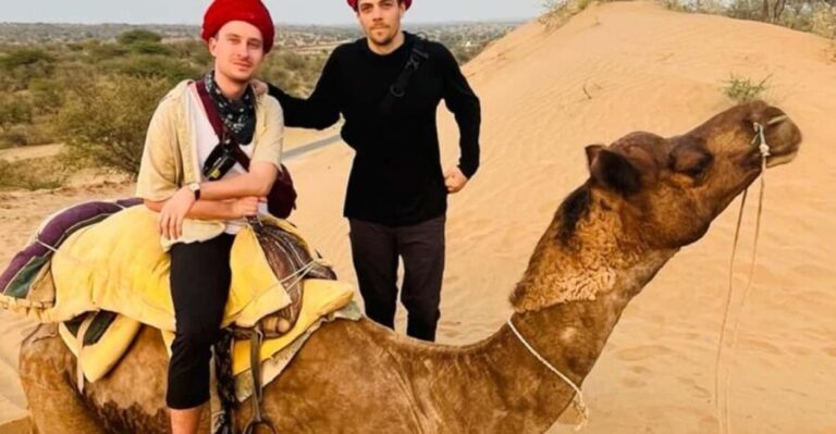 Jodhpur Desert Camel Safari With Cooking Class With Sumer - Exploring the Itinerary in Detail