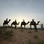 Jodhpur OvernightStay In Desert Rural Village With CamelRide - Practical Details and Value