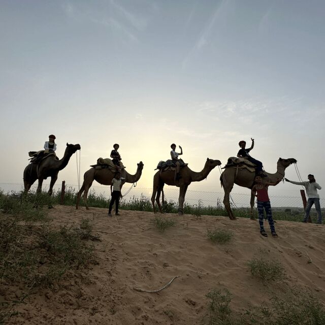 Jodhpur OvernightStay In Desert Rural Village With CamelRide - Practical Details and Value