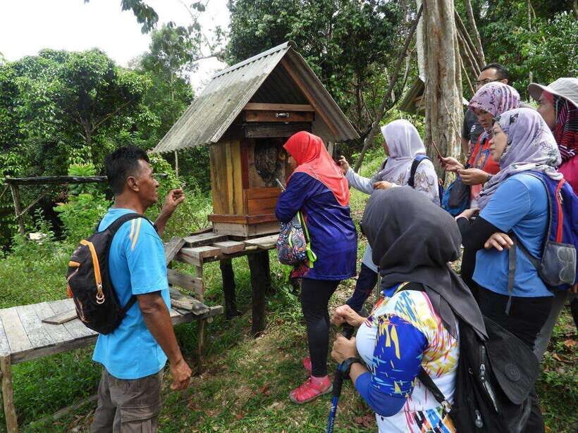 Johor: Belungkor Hill Hiking Tour - An Authentic Adventure with Stunning Vistas