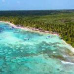 Juan Dolio: Saona Island Day Trip with Catamaran Ride - The Highlight: Saona Islands Natural Beauty