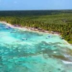 Juan Dolio: Saona Island Day Trip with Lunch & Open Bar - An In-Depth Look at the Tour