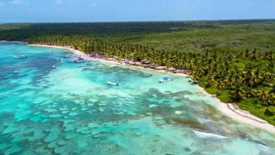Juan Dolio: Saona Island Day Trip with Lunch & Open Bar - An In-Depth Look at the Tour