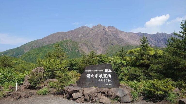 Kagoshima: Volcanos Embrace Sakurajima View Experience - Why Choose This Tour?