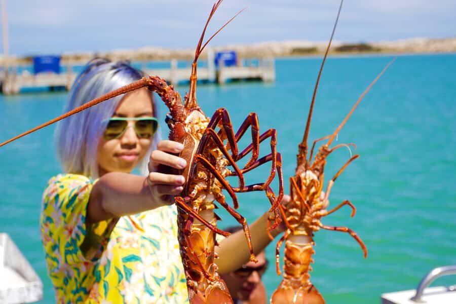 Kalbarri Crayfish Catch & Keep Tour - What to Expect from the Kalbarri Crayfish Catch & Keep Tour