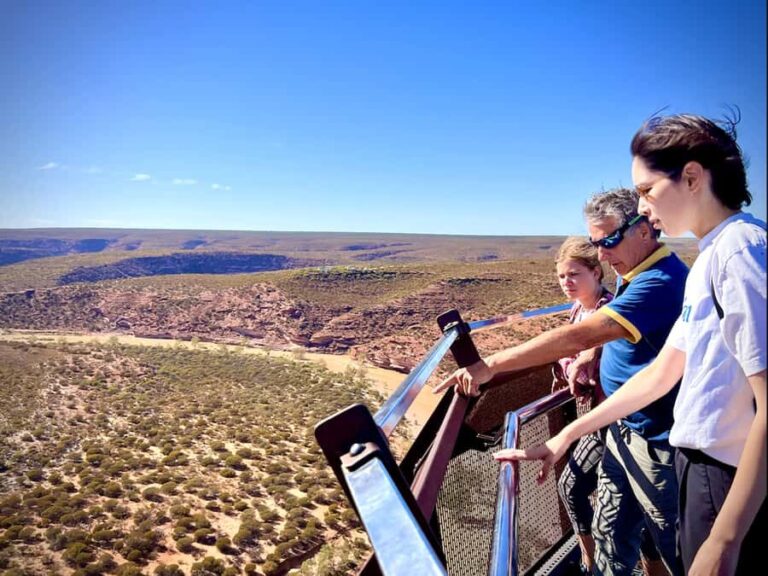 Kalbarri Skywalk Tour - Price and Value