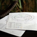 Kamakura: Astro-Kinesiology Session (Western Astrology) - What to Expect from the Kamakura Astro-Kinesiology Session