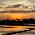 Kampot Countryside include Pepper farm, Salt field & Lake - An In-Depth Look at the Kampot Countryside Tour