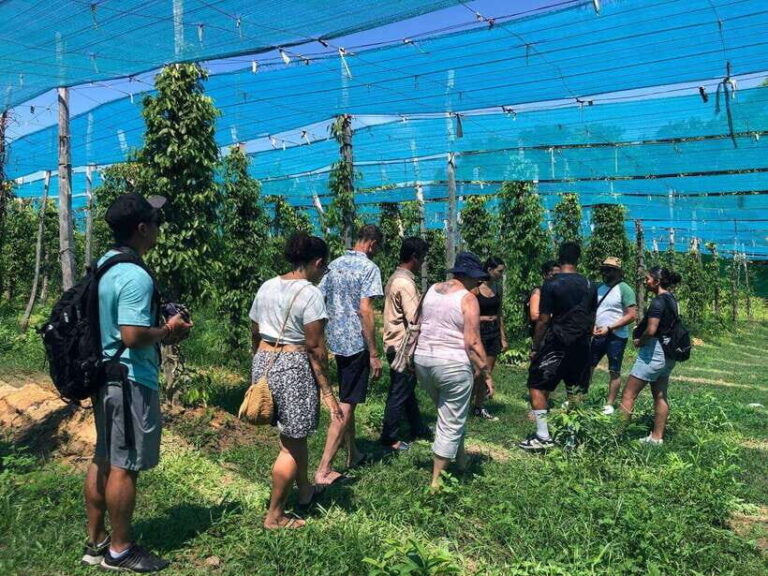 Kampot Pepper Farm, Salt Fields, Crab Market from Phnom Penh - Exploring Kampot Town: Colonial Charm and Riverside Views