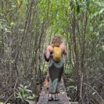 Kampot: Trapeang Sangkae Mangrove Forest Tour - What You Can Expect in Detail