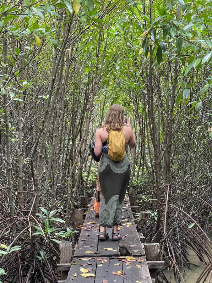 Kampot: Trapeang Sangkae Mangrove Forest Tour - What You Can Expect in Detail