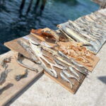 KAMPUNG GIPSI-DAY TRIP TO BAJAU HEAVEN FREE NASIGORENG & TEH - The Value of the Experience: Is It Worth It?