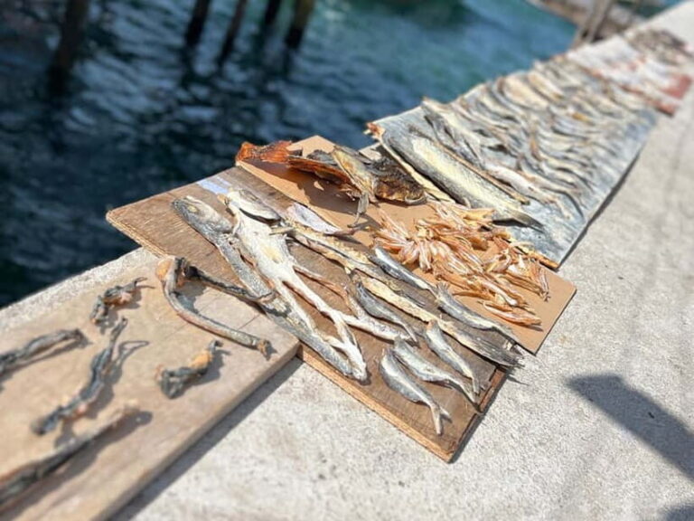 KAMPUNG GIPSI-DAY TRIP TO BAJAU HEAVEN FREE NASIGORENG & TEH - The Value of the Experience: Is It Worth It?