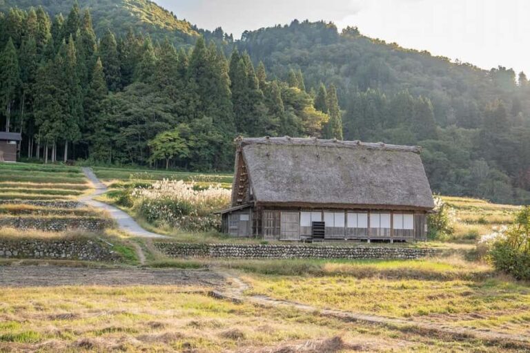 Kanazawa: Shirakawa-go & Metal-Casting Private Day Trip - An In-Depth Look at the Experience