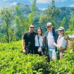 Kandy City Day Tour - Who Will Love This Experience?