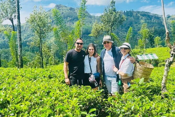 Kandy City Day Tour - Who Will Love This Experience?