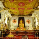 Kandy Day Trip: Colombo, Negombo, Bentota and Kalutara - Final Thoughts