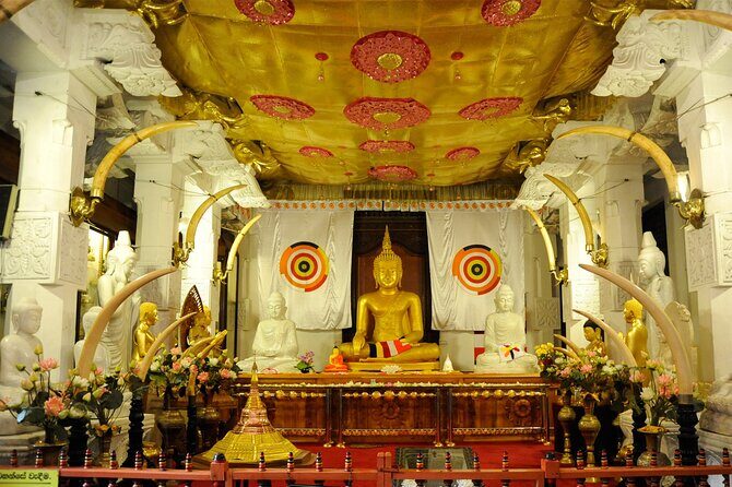 Kandy Day Trip: Colombo, Negombo, Bentota and Kalutara - Final Thoughts  