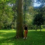 Kandy Full Day Tour from Colombo and Negombo and CMB Airport - The First Stop: Millennium Elephant Foundation