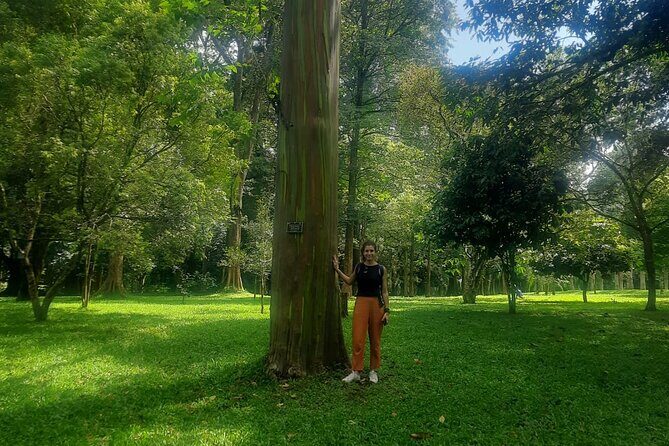 Kandy Full Day Tour from Colombo and Negombo and CMB Airport - The First Stop: Millennium Elephant Foundation