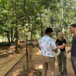 Kandy & Pinnawala Day Tour From Colombo or Negombo - Who Will Love This Tour?