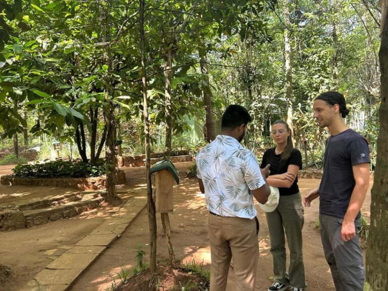 Kandy & Pinnawala Day Tour From Colombo or Negombo - Who Will Love This Tour?