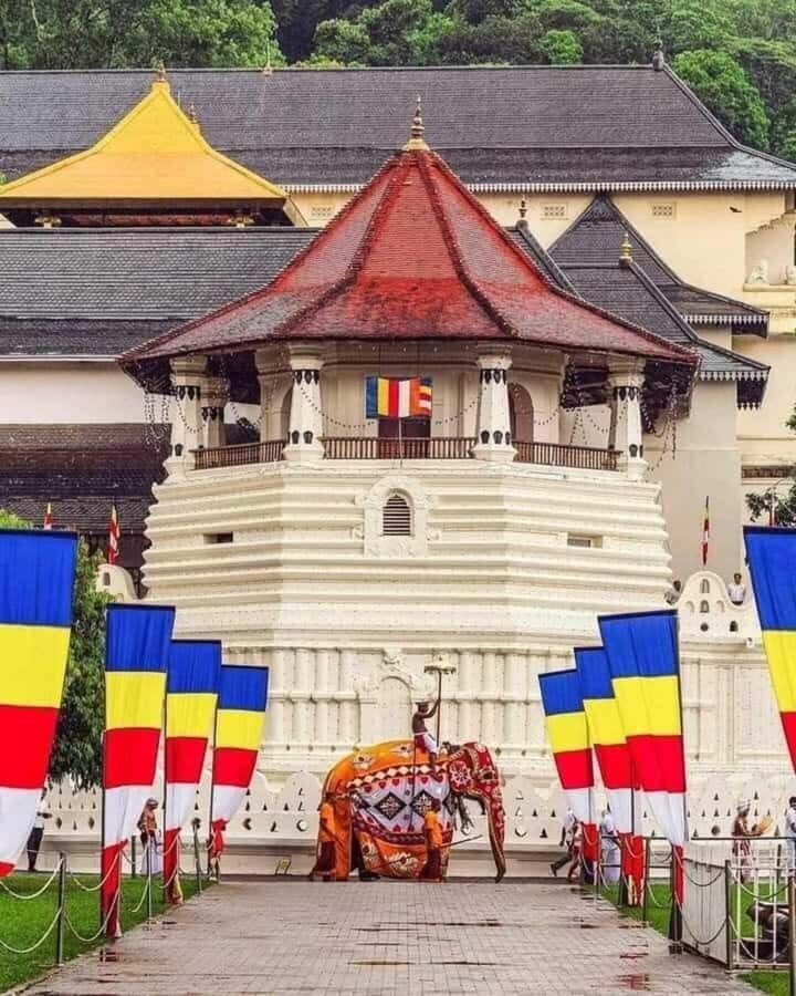 Kandy: Temple of Tooth, Train Ride, & Cave Waterfall Tour - Introduction: Why This Tour Stands Out