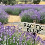 Kangaroo Island Full Day Tasting Tour - The Practicalities: Transportation, Timing, and Group Size