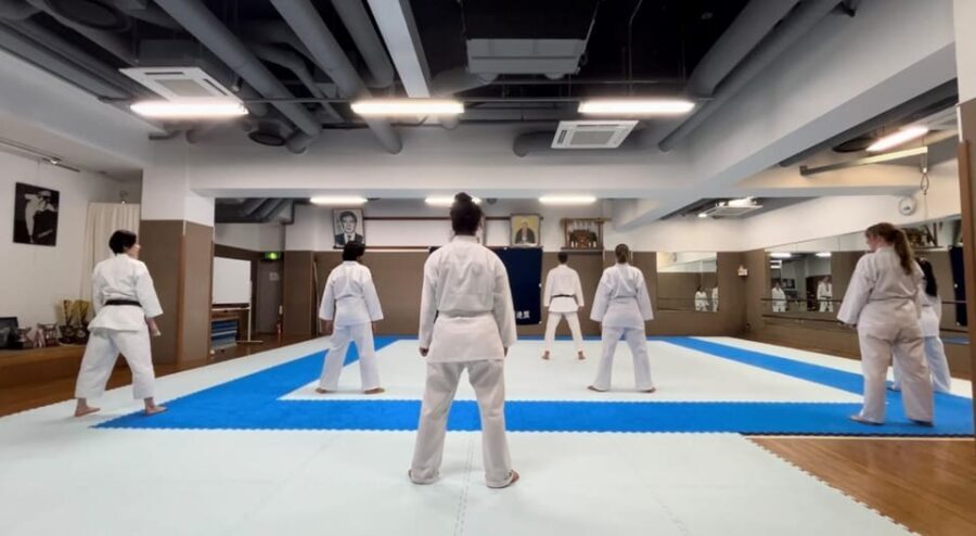 Karate Experience with the Shotokan Karate-do Instructor - Detailed Breakdown of the Experience