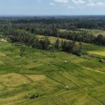 Kastala Tenganan Village Village Trekking - Practical Details and Tips for Travelers