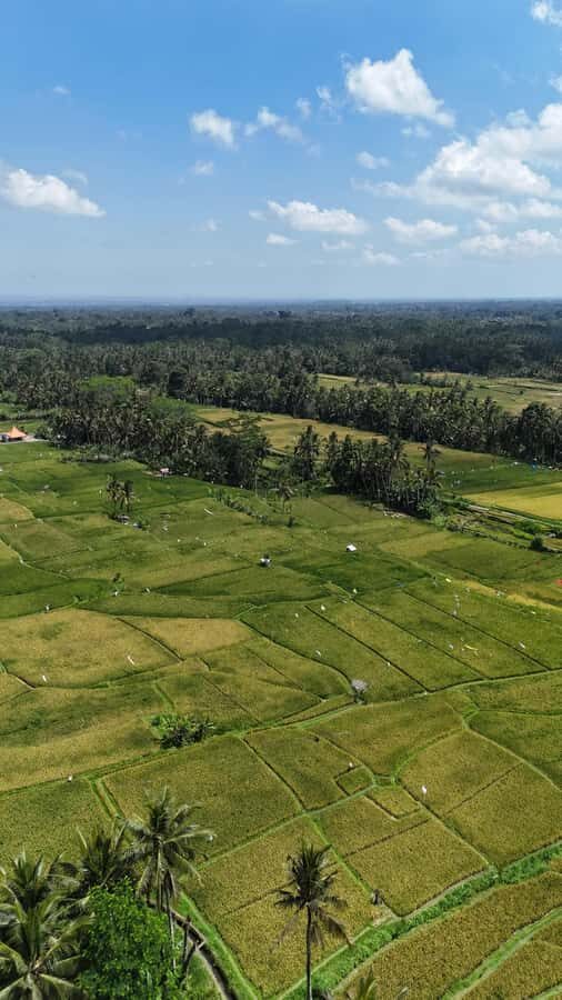 Kastala Tenganan Village Village Trekking - Practical Details and Tips for Travelers